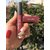 Huda Beauty Liquid Matte Lipstick Shade - Cheerleader with Lip Liner