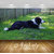 Avikalp Exclusive Premium dog HD 3D Wallpapers for Living room, Hall, Kids Room, Kitchen, TV Background, Office, Shop etc AWI82