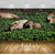 Avikalp Exclusive Premium capybara HD 3D Wallpapers for Living room, Hall, Kids Room, Kitchen, TV Background, Office, Shop etc AWI46