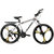 GoGoA1 Rockefeller Mountain Bicycle with Aluminum frame and 26 Magnesium wheels