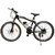 GoGoA1 FRRX Mountain Electric Bicycle with 26 spoke wheels