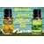 ZAAI NATURALS Combo of Rosemary  Lemon Diffuser Essential Oil - 15 ml