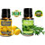 ZAAI NATURALS Combo of Rosemary  Lemon Diffuser Essential Oil - 15 ml
