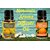 ZAAI NATURALS Combo of Orange  Lemon Diffuser Essential Oil - 15 ml
