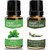 ZAAI NATURALS Combo of Basil  Eucalyptus Natural  Pure Essential Oil - 15ML (100 pure)