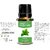 ZAAI NATURALS Combo of Basil  Eucalyptus Natural  Pure Essential Oil - 15ML (100 pure)