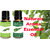 ZAAI NATURALS Combo of  Rosemary  Lemongrass  Natural Essential Oil - 15ML (100 pure)