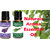 ZAAI NATURALS Combo of Lavender  Lemongrass Natural Essential Oil - 15ML (100 pure)