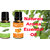 ZAAI NATURALS Combo of Rosemary  Orange Natural Essential Oil - 15ML (100 pure)