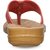 Aqualite Women Multicolor Casual Sandals