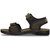 Aqualite Men Multicolor Casual Sandals