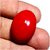 Natural Coral Munga Gemstone 9.25 Ratti Unheated Stone By Ceylon