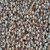 Carom Seed - Ajwain - Ayamodakam - Carum Coptium 