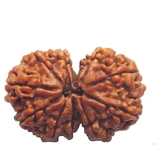 Shiv Shakti Rudraksha Beads Gauri-shankar Rudraksha Beads For Astrological