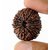 15 Face/Mukhi Rudraksha Natural  Lab Certified 15 Face Shiv Shakti Beads For Unisex BY CEYLONMINE