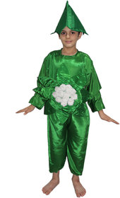 Kaku Fancy Dresses Cauliflower Vegetables Costume Cutout with Cap -Green-White, 3-8 Years, for Boys  Girls