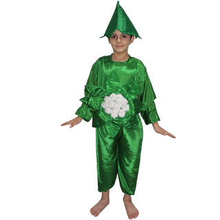 Kaku Fancy Dresses Cauliflower Vegetables Costume Cutout with Cap -Green-White, 3-8 Years, for Boys  Girls