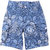 Cerulian Shorts