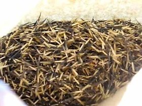 Puspita Nursery Orange Marigold Flower Seed African Variety for Farming (100 g).