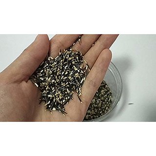 PuspitaNursery Marigold Seeds Yellow F1 Hybrid Kolkata Variety 1KG Pack.