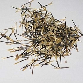 PuspitaNursery Marigold Flower Seed Orange Color African Variety for Farming 200 gm in a Secured Packet.