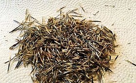 PuspitaNursery Marigold Flower Seed Yellow Color African Variety for Farming 200 gm in a Secured Packet.