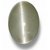 6.25 Ratti Original Cat's Eye  Gemstone Lab Certified Stone Lehsuniya For Unisex By CEYLONMINE