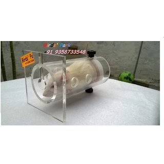 Rat Restrainer - Albino Rat Restrainer Acrylic Transparent