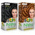 Nisha Combo Pack Creme Hair Color Natural black   Honey Blonde (60gm + 90ml + 18ml Nisha Conditioner)