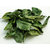 Raw Dried Curry Leaves / Karivepaku Dried (Using Curry Leaves as Ingredient)