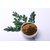 Munagaku karam podi / Drumstick / Moringa Leaves Powder (As a side for Break fast items)