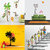EJA Art Combo of 4 Wall Sticker Jungle-(150 X 120 Cms)|Sunset Swan Love-(120 X 120 Cms)|Beach With Sunset-(55 X 60 Cms)|Tribal Lady-(180 X 60 Cms)-Matrial Vinyl.