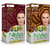 Nisha Creme Hair Color Combo Pack Burgundy  Honey Blonde (60gm + 90ml + 18ml Nisha Conditioner)
