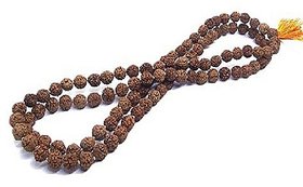Lab certified rudraksha beads maala natural shiv moksha beads mala by Ceylonmine