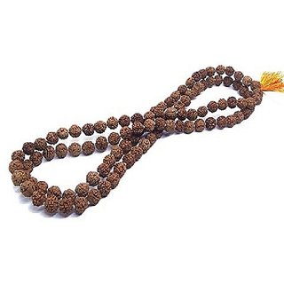 Lab certified rudraksha beads maala natural shiv moksha beads mala by Ceylonmine