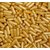 Empty Capsules Golden 0 1000