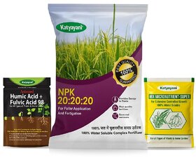 Npk 20 20 20 Fertilizer For Plants With 2 Free Sample - Mix Micronutrients And Organic Humic Acid Complete Plant Food 10