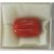 Ceylonmine 9.25  ratti Red coral munga gemstone original  natural Red coral stone for unisex