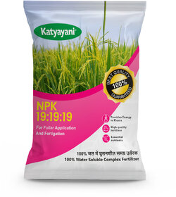 Katyayani Npk 19 19 19 Fertilizer For Plants And Gardening Purpose (1 Kg) By Katyayani
