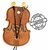 Signature Acoustics Elements C12 Version 2.1 High Fidelity Wooden Earphones With Mic For Android/Ios -With Enhanced Bass