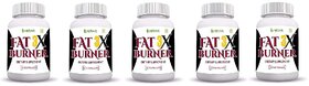 Thermo Fat Burner for Weight Loss and Energy Booster,(300 Capsules(pack of 5))