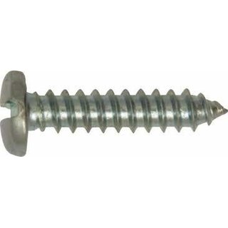 Pan Head Screw 38 mm x 6 (1.5 inch)