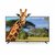Aiwa 139 cm (55 Inches) 4K Ultra HD Smart Android Led TV Aw550Us (Black) (2019 Model)