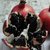 Dwarf Rare Black Giant Pomegranate Bonsai (Australian variety)  Seeds imported  (Pack of 10 Seeds)