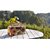 ARROHA Boombox Artistic Design Portable Bluetooth Speaker with Handle MY810BT (Camouflage)