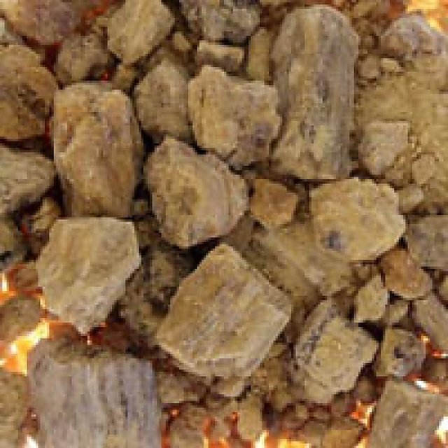 Buy Shorea Robusta Kama Ral Sal Tree Resin Raal Jall Sagua Sakhu Borsal ...