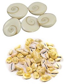 11yellow Kodi and 11 Gomti Chakra in combo