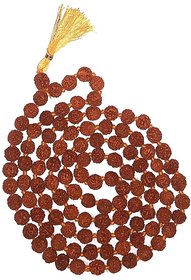 Rudraksha 5 Mukhi with Kanti Mala (10 mm).