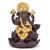 KAMAKSHI ART BACKFLOW SMOKE FOUNTAIN DESIGN GOLDEN LOTUS GANESHA WITH 10 NICE FRAGRANCE CONES FREE.