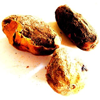 Urancia Hingot Balanites Roxburghii Ingoriyo Desert Date 100g